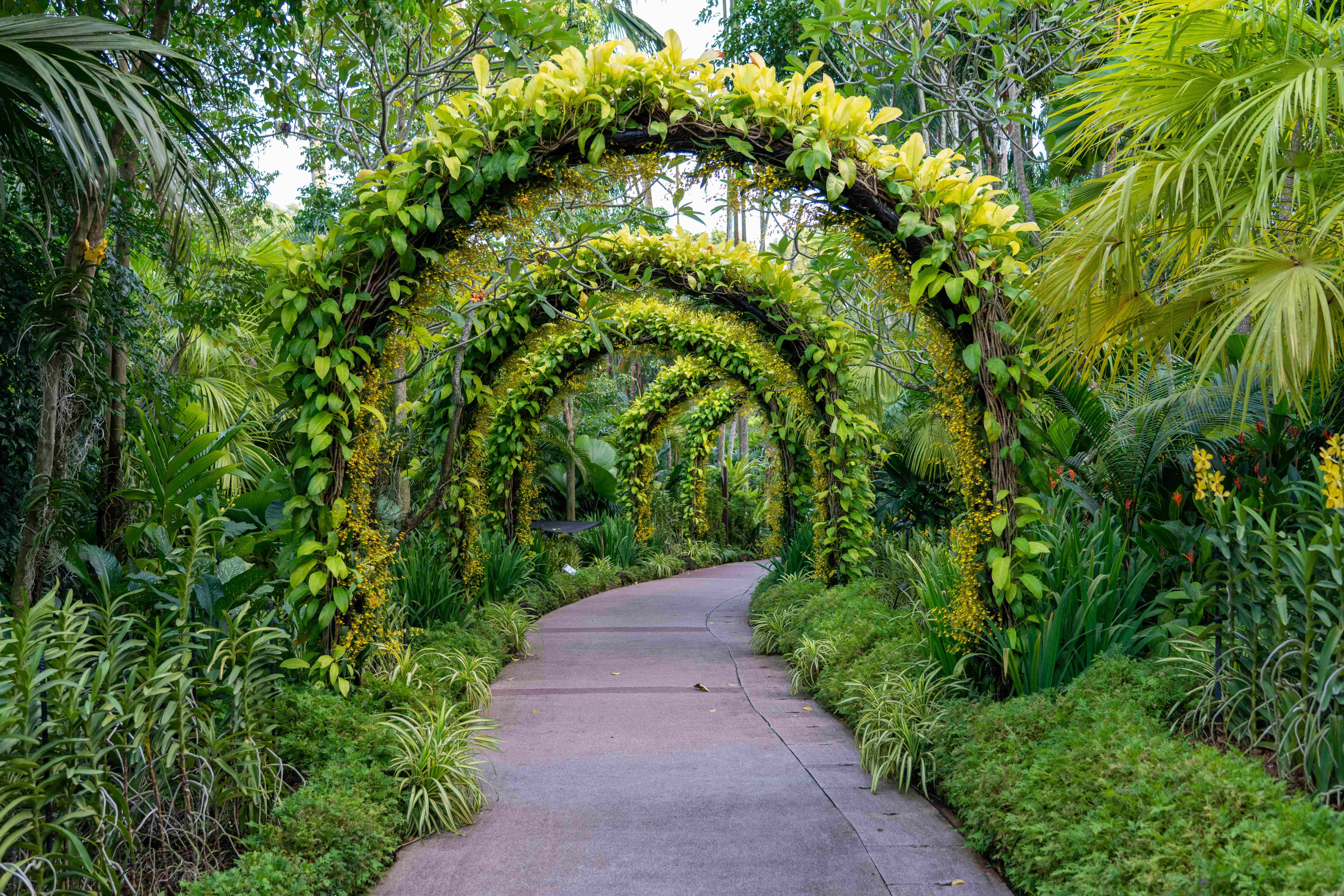 Garden Design - Service illustrative image