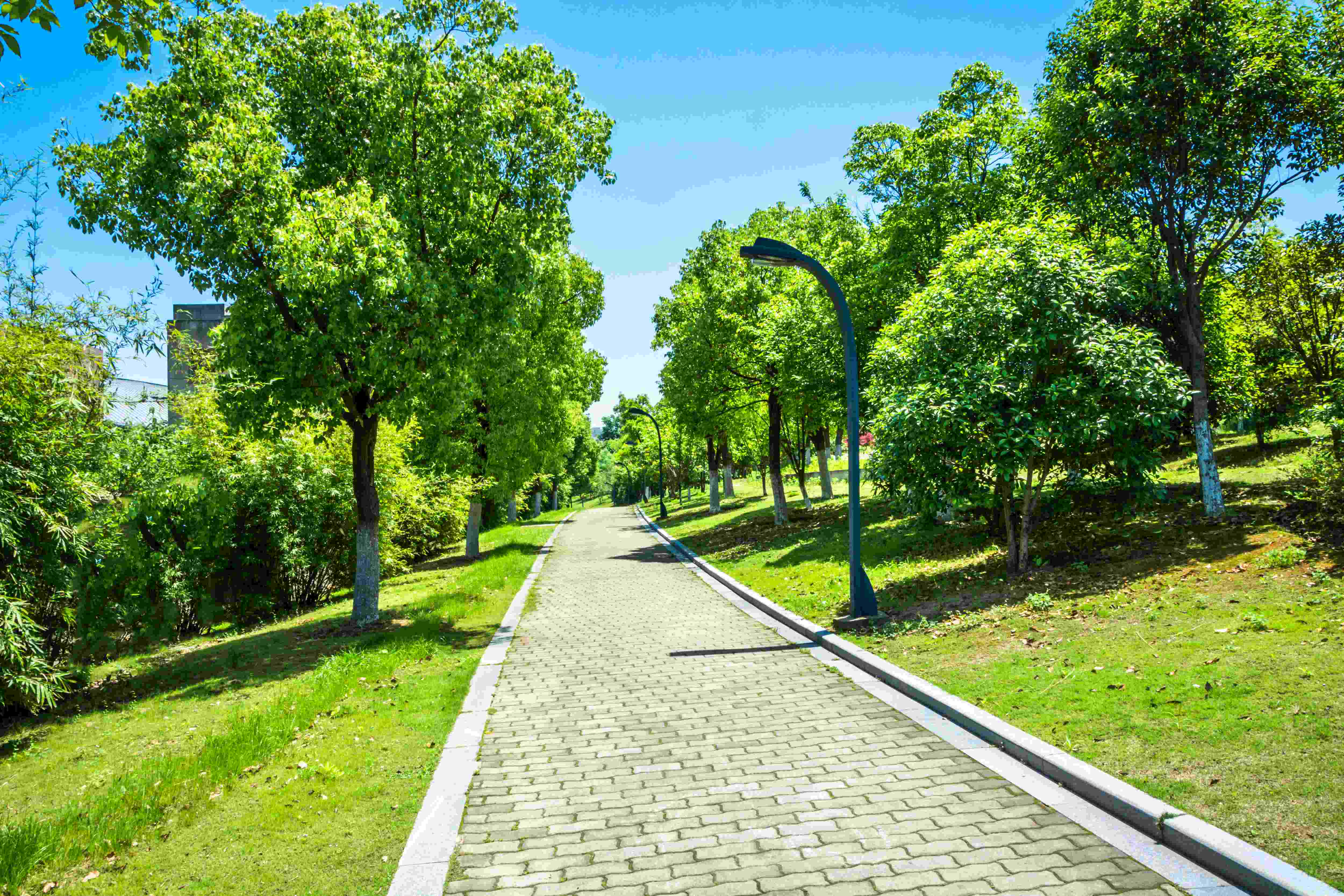 Green Area Maintenance - Service illustrative image